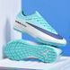 Сороконожки Mercurial Vapor TF nbs-25-34 фото 6